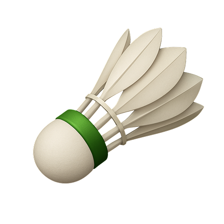 Badminton